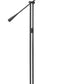 Z-Lite Grammercy Park 13" 1-Light Matte Black Steel Floor Lamp