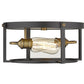 Z-Lite Halcyon 14" 2-Light Bronze and Heritage Brass Steel Flush Mount Lighting