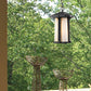 Z-Lite Harbor Lane 9" 1-Light Black Outdoor Chain Mount Ceiling Fixture With Matte Opal Glass Shade