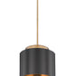 Z-Lite Harlech 12" 1-Light Bronze and Rubbed Brass Pendant Light