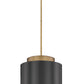 Z-Lite Harlech 12" 1-Light Bronze and Rubbed Brass Pendant Light