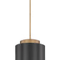 Z-Lite Harlech 12" 1-Light Bronze and Rubbed Brass Pendant Light