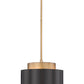 Z-Lite Harlech 12" 1-Light Bronze and Rubbed Brass Pendant Light