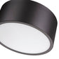 Z-Lite Harley 12" 2-Light Bronze Steel Flush Mount Lighting