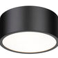 Z-Lite Harley 12" 2-Light Matte Black Steel Flush Mount Lighting