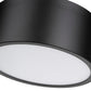 Z-Lite Harley 12" 2-Light Matte Black Steel Flush Mount Lighting