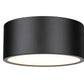 Z-Lite Harley 12" 2-Light Matte Black Steel Flush Mount Lighting