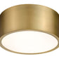 Z-Lite Harley 12" 2-Light Rubbed Brass Steel Flush Mount Lighting