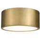 Z-Lite Harley 12" 2-Light Rubbed Brass Steel Flush Mount Lighting