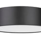 Z-Lite Harley 20" 4-Light Matte Black Steel Flush Mount Lighting