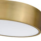 Z-Lite Harley 20" 4-Light Rubbed Brass Steel Flush Mount Lighting