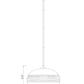 Z-Lite Harmony 14" 1-Light Brushed Nickel Pendant Light With Clear Glass Shade
