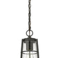 Z-Lite Helix 6" W x 14" H 1-Light Black Aluminum Outdoor Chain Mount Ceiling Fixture With Clear Seedy Glass Shade