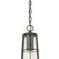 Z-Lite Helix 6" W x 18" H 1-Light Black Aluminum Outdoor Chain Mount Ceiling Fixture With Clear Seedy Glass Shade