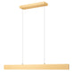 Z-Lite Hudson 45" 1 -Light LED-Integrated Gold Aluminum Frame Frosted Plastic Shade Linear Chandelier