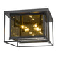 Z-Lite Infinity 16" 4-Light Misty Charcoal Flush Mount Lighting With Smoke Mirror Glass Shade