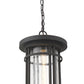 Z-Lite Jordan 10" 1-Light Oil Rubbed Bronze Aluminum Outdoor Chain Mount Ceiling Fixture With Clear Seedy Glass Shade