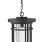 Z-Lite Jordan 12" 1-Light Black Aluminum Outdoor Chain Mount Ceiling Fixture With Clear Seedy Glass Shade