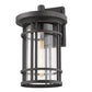 Z-Lite Jordan 12" 1-Light Black Outdoor Wall Sconce With Clear Seedy Glass Shade