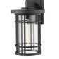 Z-Lite Jordan 12" 1-Light Black Outdoor Wall Sconce With Clear Seedy Glass Shade