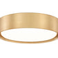 Z-Lite Kawan 12" 1-Light LED Modern Gold Flush Mount Lighting With Frosted Acrylic Shade