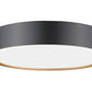 Z-Lite Kawan 16" 1-Light LED Matte Black and Modern Gold Flush Mount Lighting With Frosted Acrylic Shade