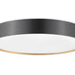 Z-Lite Kawan 20" 1-Light LED Matte Black and Modern Gold Flush Mount Lighting With Frosted Acrylic Shade