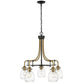 Z-Lite Kraken 25" 5-Light Matte Black and Olde Brass Chandelier With Clear Glass Shade