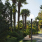 Z-Lite Laurent 597PHB-567P-BK 1-Light Black Aluminum White Opal Glass Shade Outdoor Post Mounted Fixture