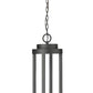 Z-Lite Leland 9" 1-Light LED Sand Black and Sand Blast Glass Shade Outdoor Chain Mount Ceiling Fixture