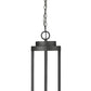Z-Lite Leland 9" 1-Light LED Sand Black and Sand Blast Glass Shade Outdoor Chain Mount Ceiling Fixture
