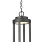 Z-Lite Leland 9" 1-Light LED Sand Black and Sand Blast Glass Shade Outdoor Chain Mount Ceiling Fixture