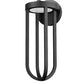 Z-Lite Leland 9" 1-Light LED Sand Black and Sand Blast Glass Shade Outdoor Wall Light
