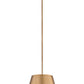 Z-Lite Lilly 18" 1-Light Modern Gold Steel Pendant Light