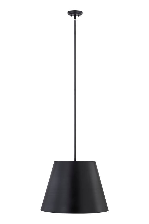 Z-Lite Lilly 24" 1-Light Matte Black Steel Pendant Light