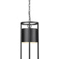 Z-Lite Luca 10" 1-Light LED Black Aluminum Outdoor Chain Mount Ceiling Fixture With Etched Glass Shade