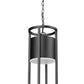 Z-Lite Luca 10" 1-Light LED Black Aluminum Outdoor Chain Mount Ceiling Fixture With Etched Glass Shade