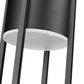 Z-Lite Luca 10" 1-Light LED Black Aluminum Outdoor Chain Mount Ceiling Fixture With Etched Glass Shade