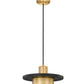 Z-Lite Ludo 12" 1-Light LED-Integrated Matte Black and Modern Gold Steel Frame Frosted Acrylic Shade Pendant Light