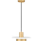 Z-Lite Ludo 12" 1-Light LED-Integrated Matte White and Modern Gold Steel Frame Frosted Acrylic Shade Pendant Light