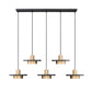 Z-Lite Ludo 12" 5-Light LED-Integrated Matte Black and Modern Gold Steel Frame Frosted Acrylic Shade Linear Chandelier