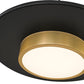 Z-Lite Ludo 20" 1-Light LED-Integrated Matte Black and Modern Gold Steel Frame Frosted Acrylic Shade Pendant Light