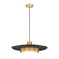 Z-Lite Ludo 20" 1-Light LED-Integrated Matte Black and Modern Gold Steel Frame Frosted Acrylic Shade Pendant Light