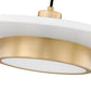 Z-Lite Ludo 20" 1-Light LED-Integrated Matte White and Modern Gold Steel Frame Frosted Acrylic Shade Pendant Light