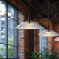 Z-Lite Lunelle 18" 1-Light Matte Black Frame Clear Glass Shade Pendant Light