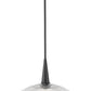 Z-Lite Lunelle 18" 1-Light Matte Black Frame Clear Glass Shade Pendant Light
