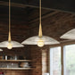 Z-Lite Lunelle 24" 1-Light Modern Gold Frame Clear Glass Shade Pendant Light
