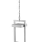 Z-Lite Luttrel 11" 1-Light LED Silver Aluminum Outdoor Chain Mount Ceiling Fixture With Frosted Glass Shade
