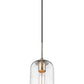 Z-Lite Monty 5" 1-Light Brushed Nickel Pendant Light With Seedy Glass Shade