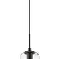 Z-Lite Monty 5" 1-Light Matte Black Pendant Light With Seedy Glass Shade